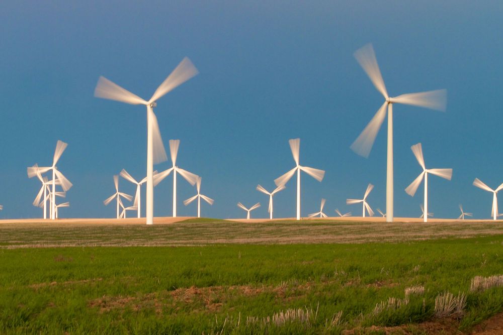 Field of windmills