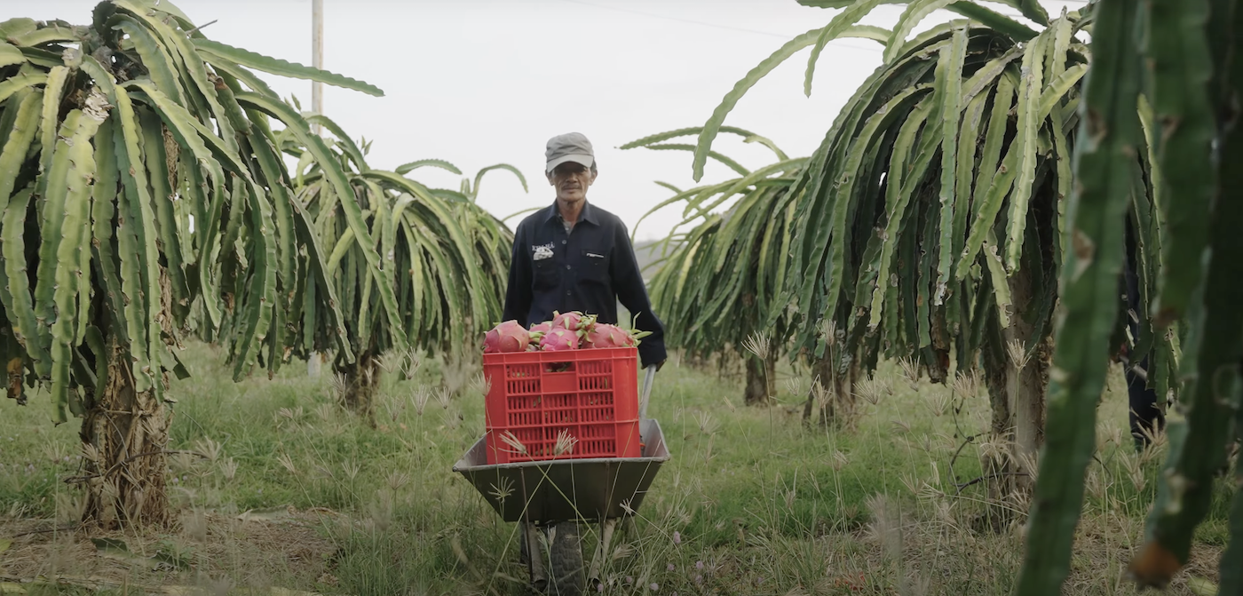 Powering Tomorrow Vietnam