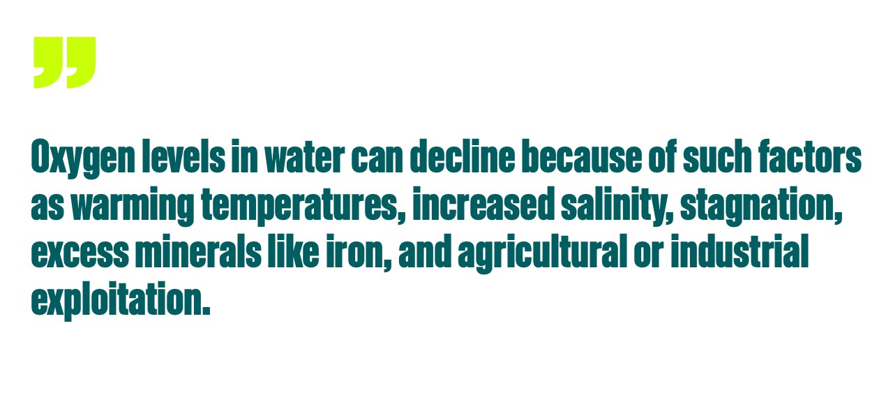 Pull quote: Oxygen levels in water can decline because of such factors as warming temperatures, increased salinity, stagnation, excess minerals like iron, and agricultural or industrial exploitation.