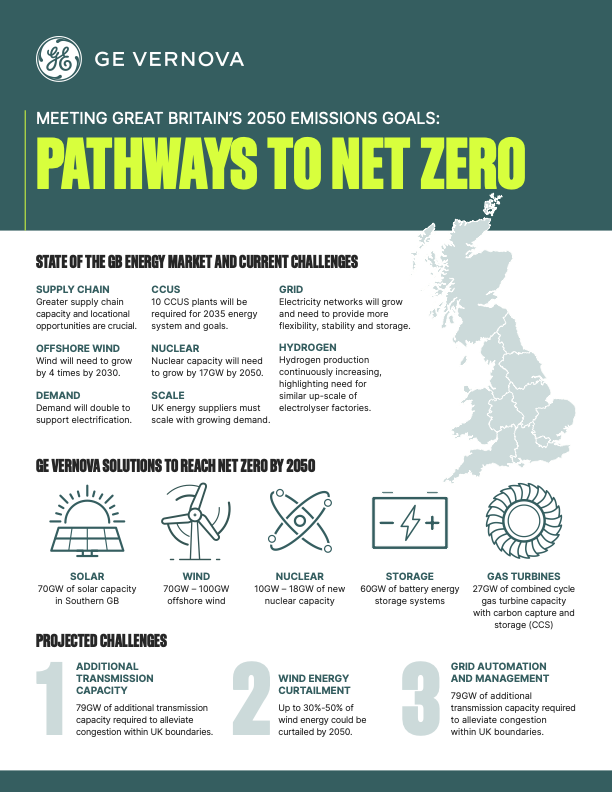 net zero infographic