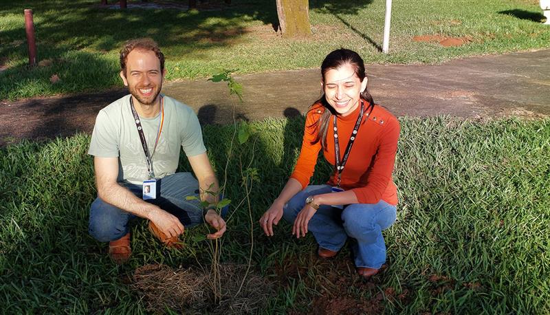 Two GE Vernova employees crouching beside a newly planted tree sampling
