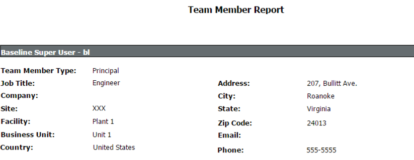 Team Member Report